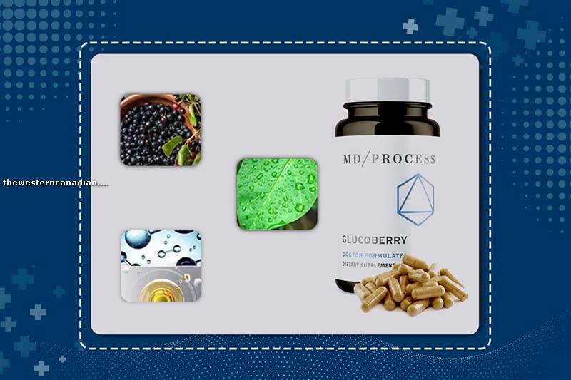 GlucoBerry Ingredients