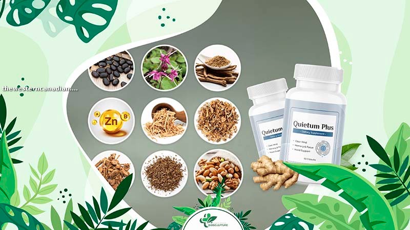 Quietum Plus Ingredients