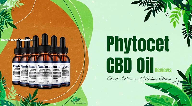 Phytocet CBD Oil Reviews